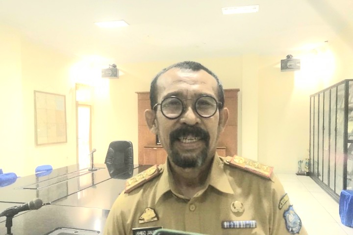 31 Desa Menggelar Pilkades di Bulukumba, Ini Harapan Kepala DPMD