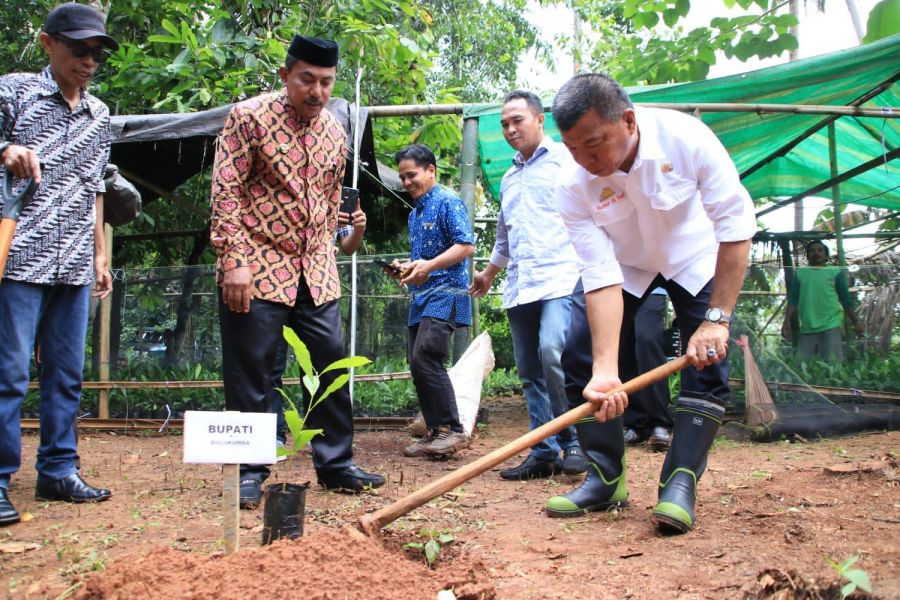 Bagikan Bibit Unggul, Andi Utta Harap Bulukumba Jadi Penghasil Jambu Mente Kualitas Ekspor