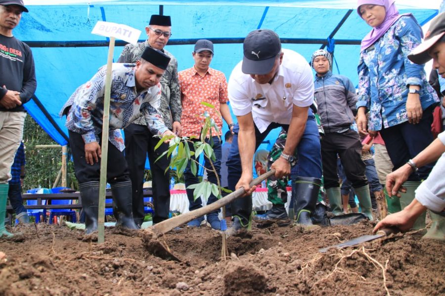 Belum Cukup 24 Jam Jadi Kadis Pertanian, Thaiyeb Maningkasi Langsung Bagi Bibit Unggul Durian