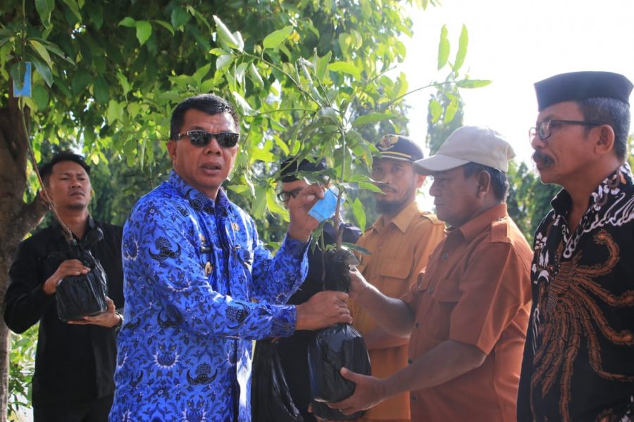 Bukan Dicerita, Bupati Andi Utta Bagikan Ribuan Bibit Unggul tanpa APBD