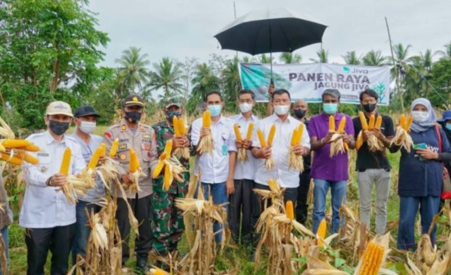 Hadiri Panen Raya Jagung, Bupati Andi Utta Berupaya Tingkatkan Sarana dan Prasana Pertanian