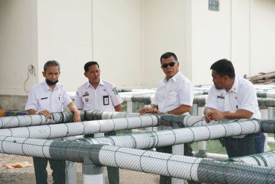 Bupati Andi Utta Serahkan Bantuan Rumpon dan Keramba Rumput Laut