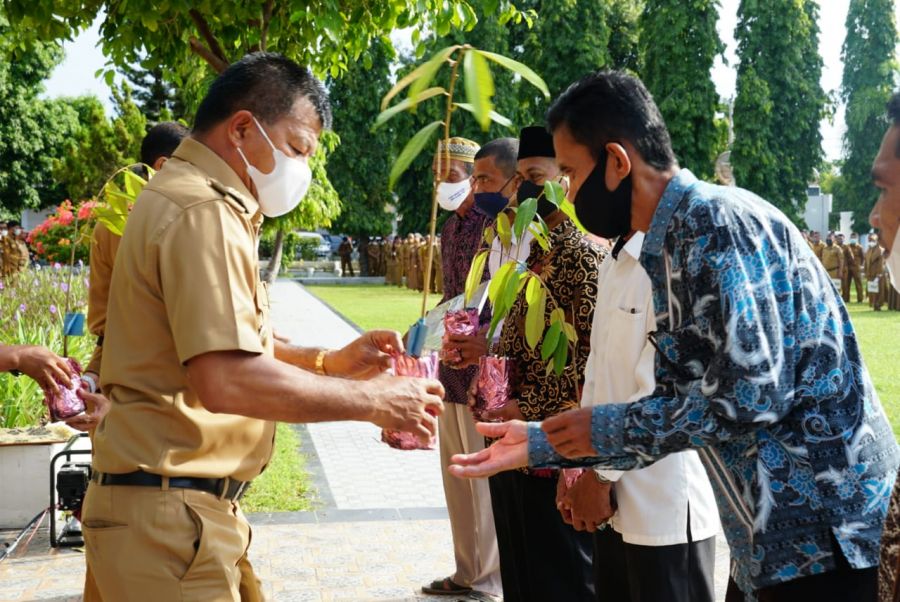 Bupati Andi Utta Serahkan Bibit Durian Musangking 7.620 Pohon