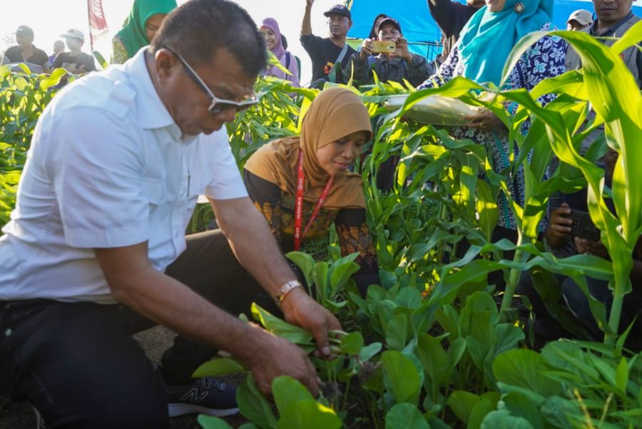 Harga BBM Naik, Andi Utta Minta Masyarakat Bercocok Tanam
