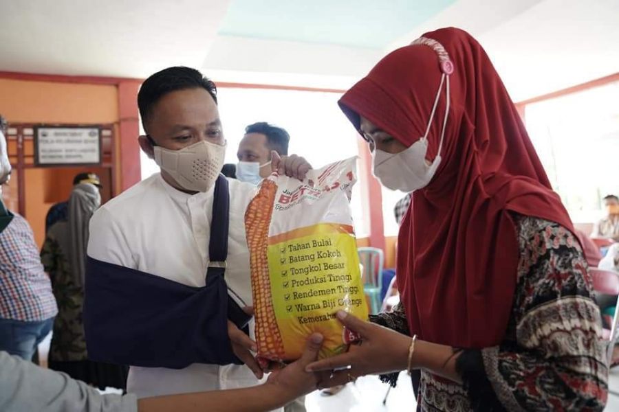 Ilham Azikin Membagikan Bibit Jagung Berkualitas Untuk Petani