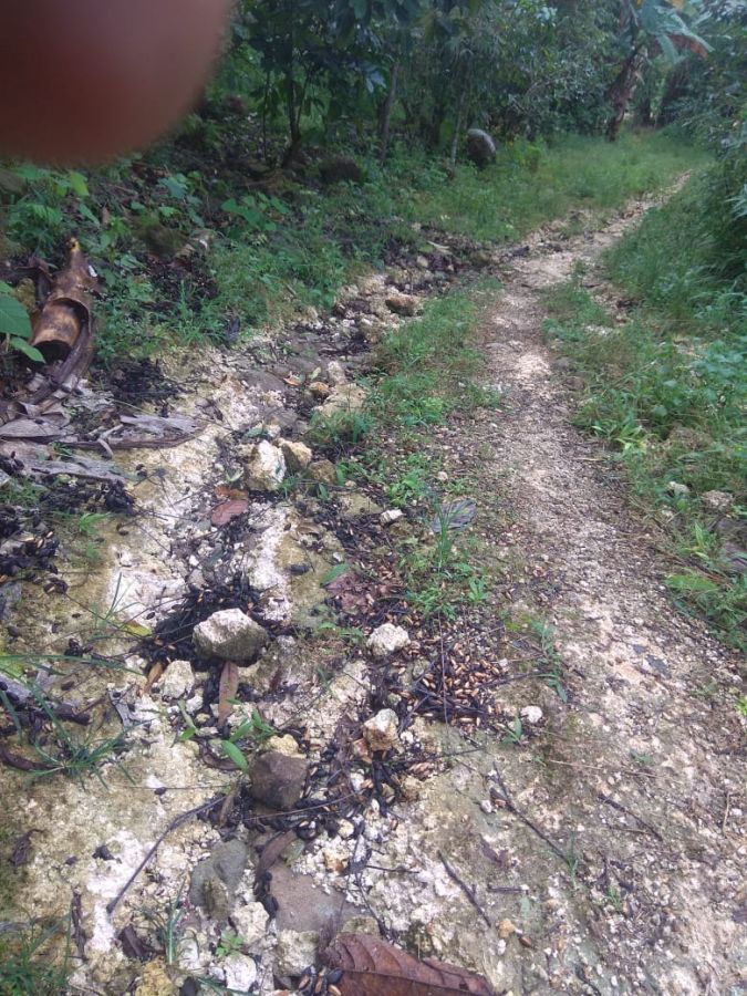 Jalan Desa Pattaneteang  Seperti Tak Terurus