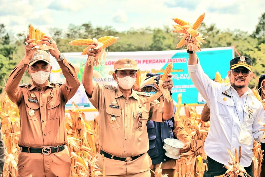 Menteri Pertanian Beri Atensi Sistem Pertanian Terpadu di Kabupaten Wajo
