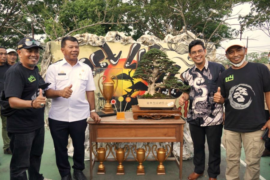 Pertama kali Gelar, Pameran Bonsai Bulukumba Pecahkan Rekor