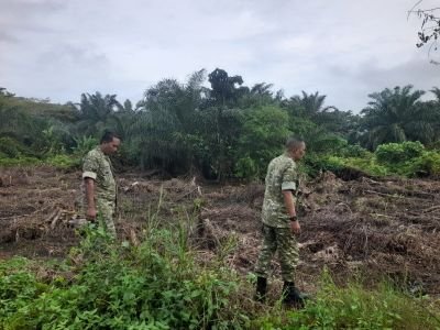 Cegah Karhutla, Babinsa Koramil 01/Bangko Intensifkan Patroli di Kecamatan Pekaitan